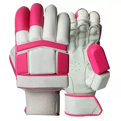 Cricket Gloves