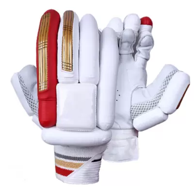 Cricket Gloves