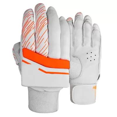 Cricket Gloves